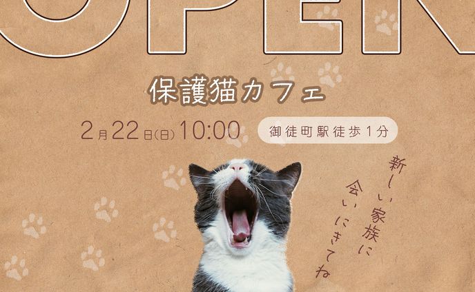 自主制作バナー：保護猫カフェOPEN