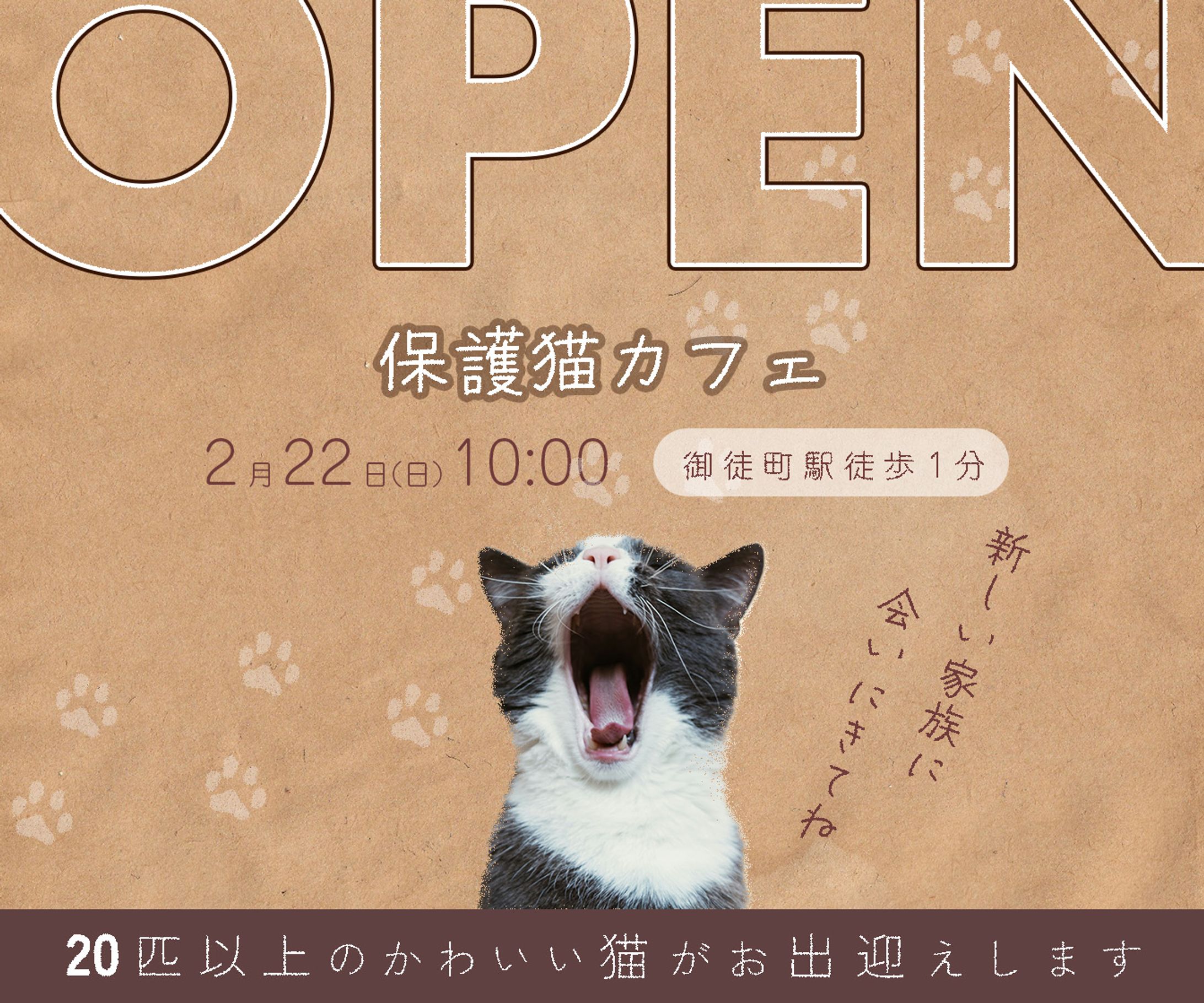 自主制作バナー：保護猫カフェOPEN-1