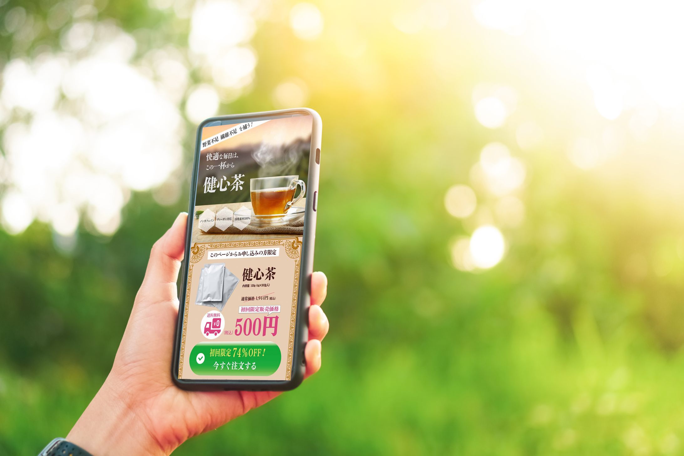 LP 健康飲料 お茶LP-1