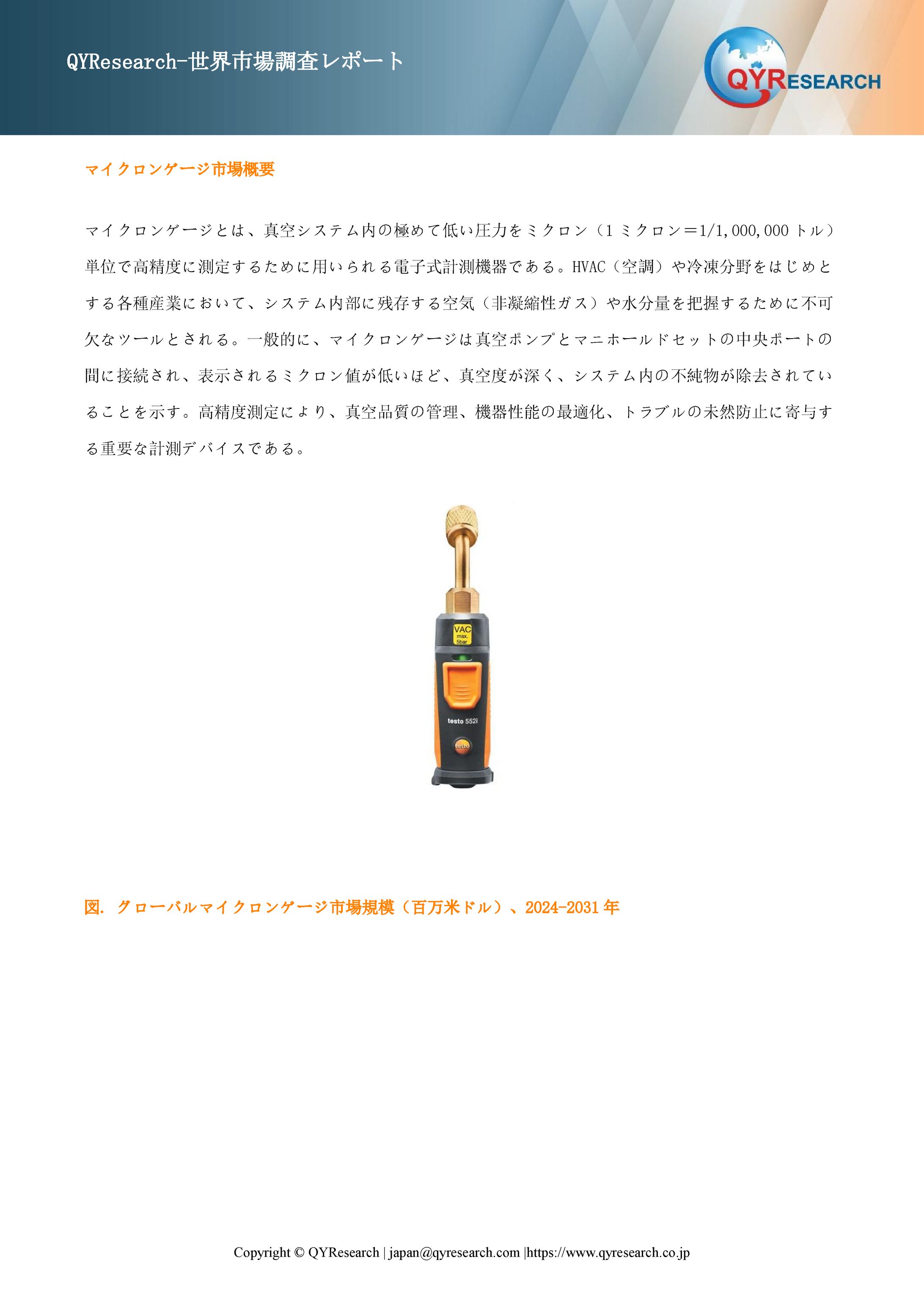 世界のマイクロンゲージ市場：製品別・地域別・企業別の成長動向2025-2031-1