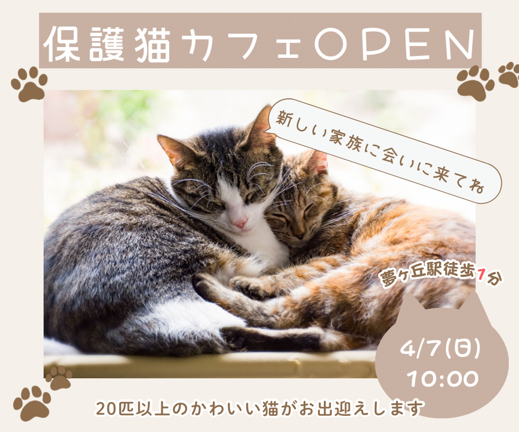 保護猫カフェバナー-1