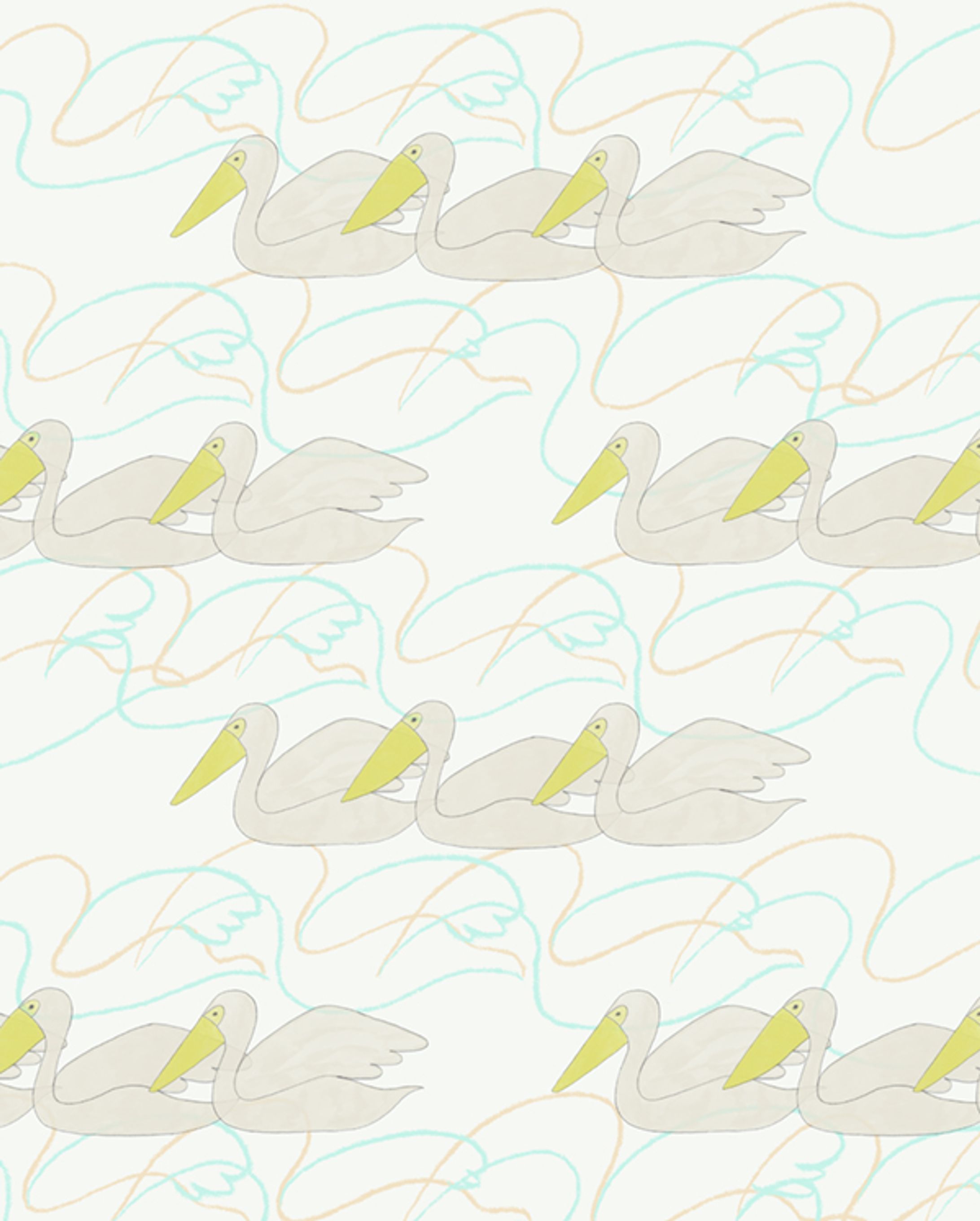 pelican-1