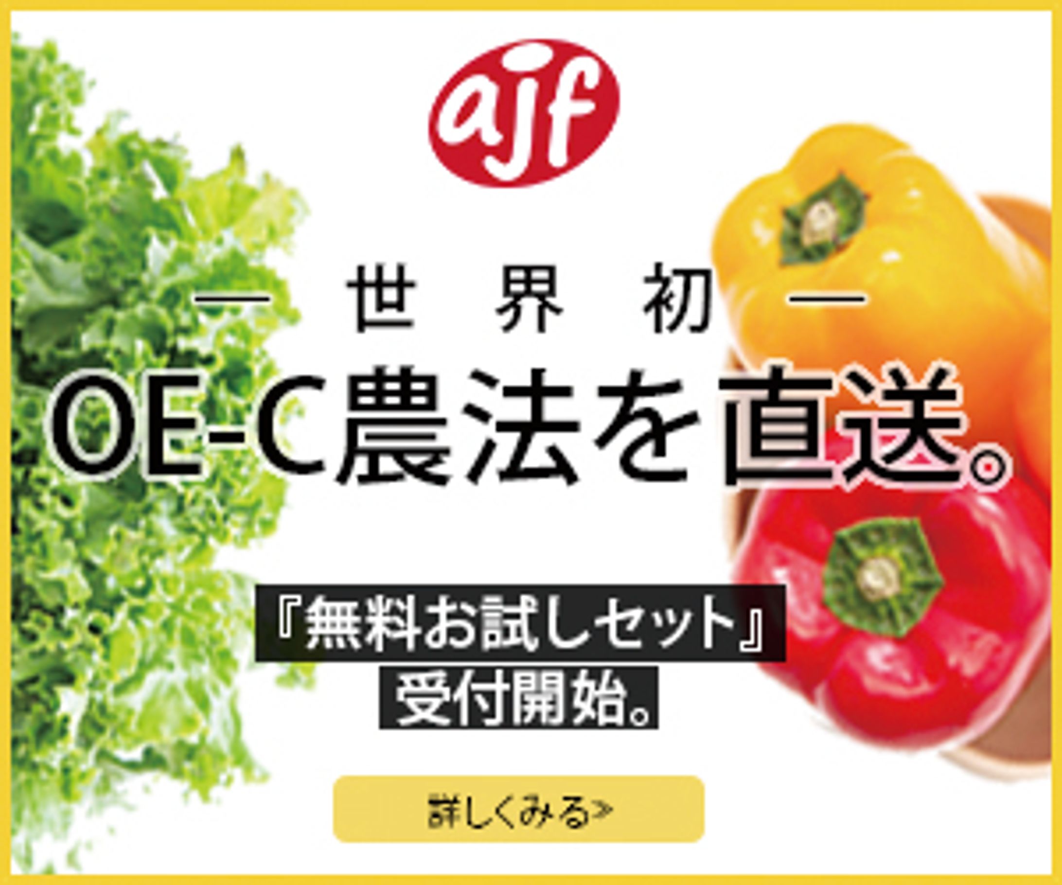 【バナー】ミディアムレクタングル-1