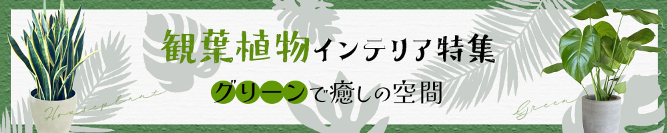 【横長バナー】観葉植物インテリア特集-1