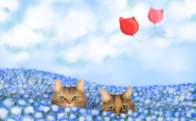 ネモフィラと猫