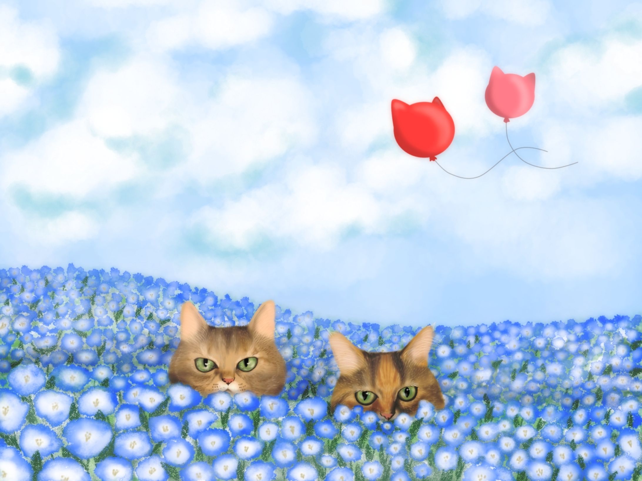 ネモフィラと猫-1