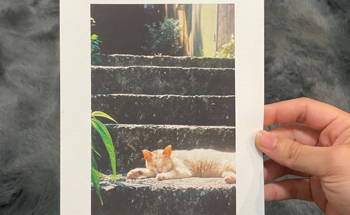 Houtong cat village print 2