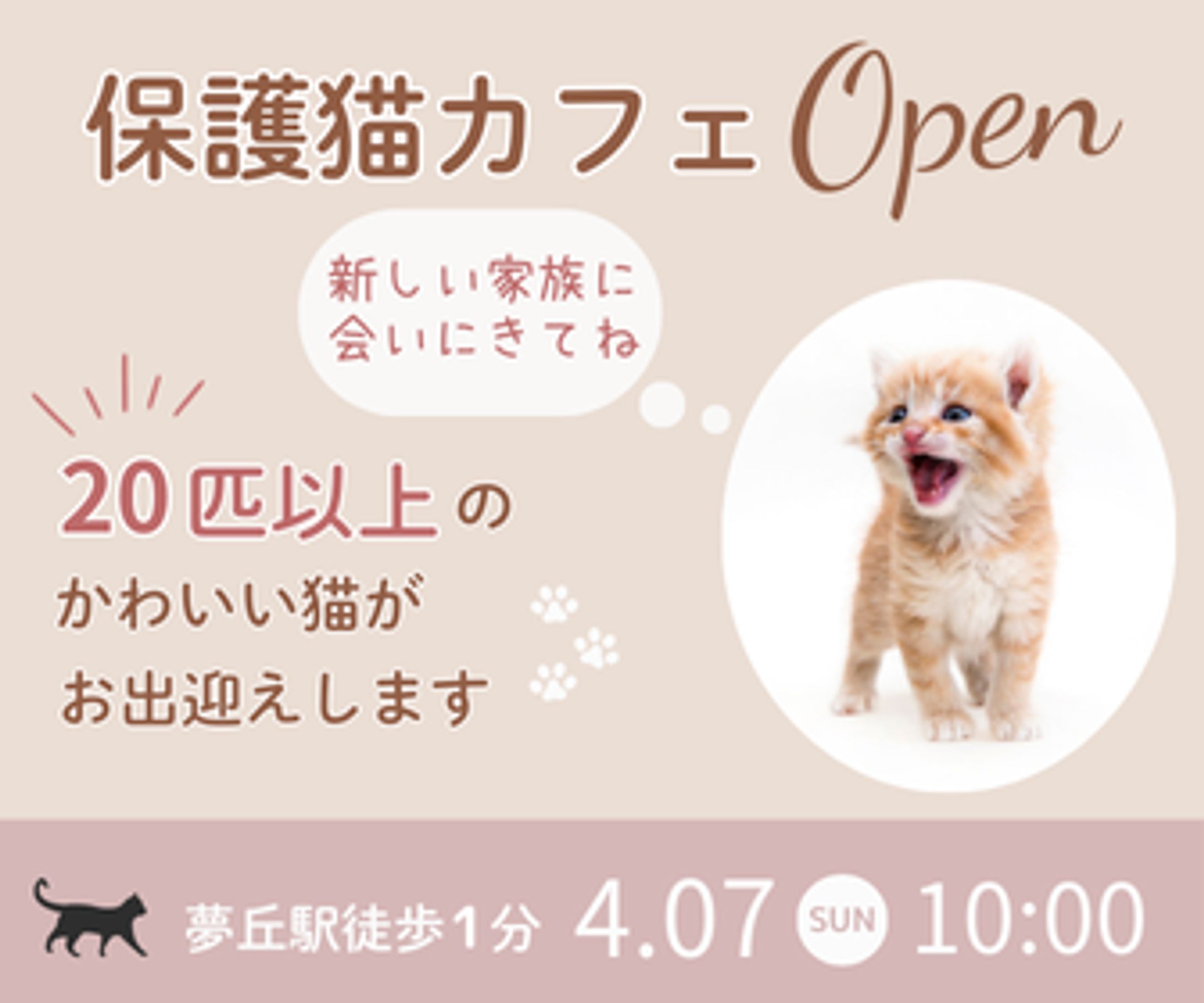 【自主製作】保護猫カフェオープン告知バナー-1