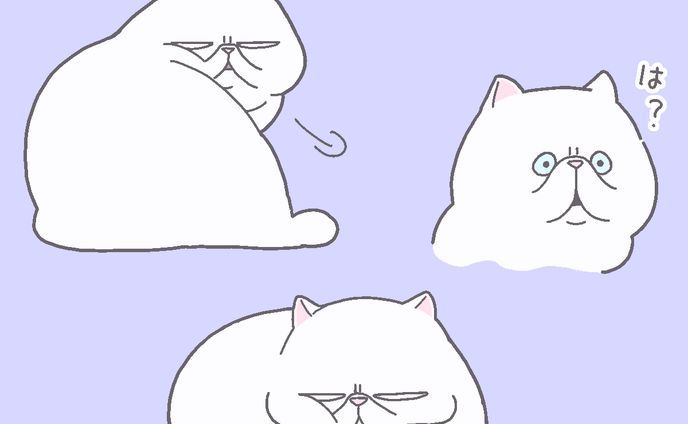 ずっと不機嫌なネコ