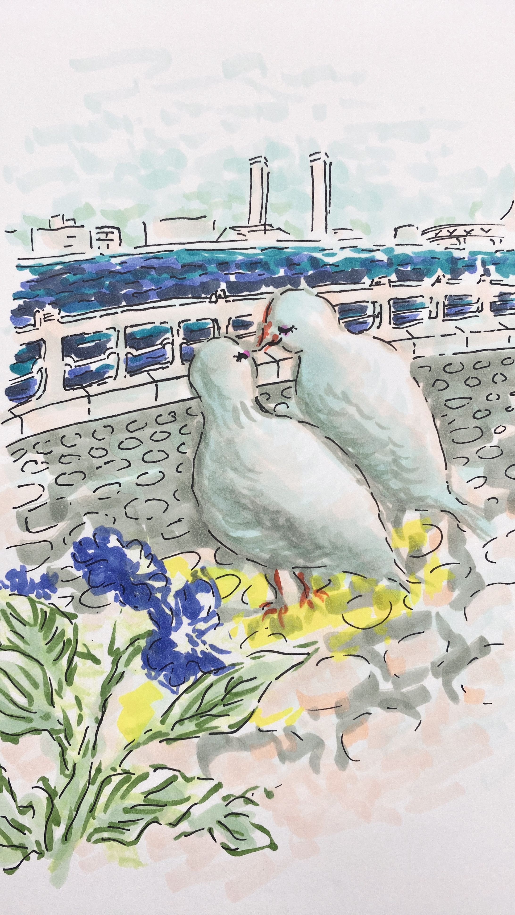 雨上がりの鳥たちと散歩-1