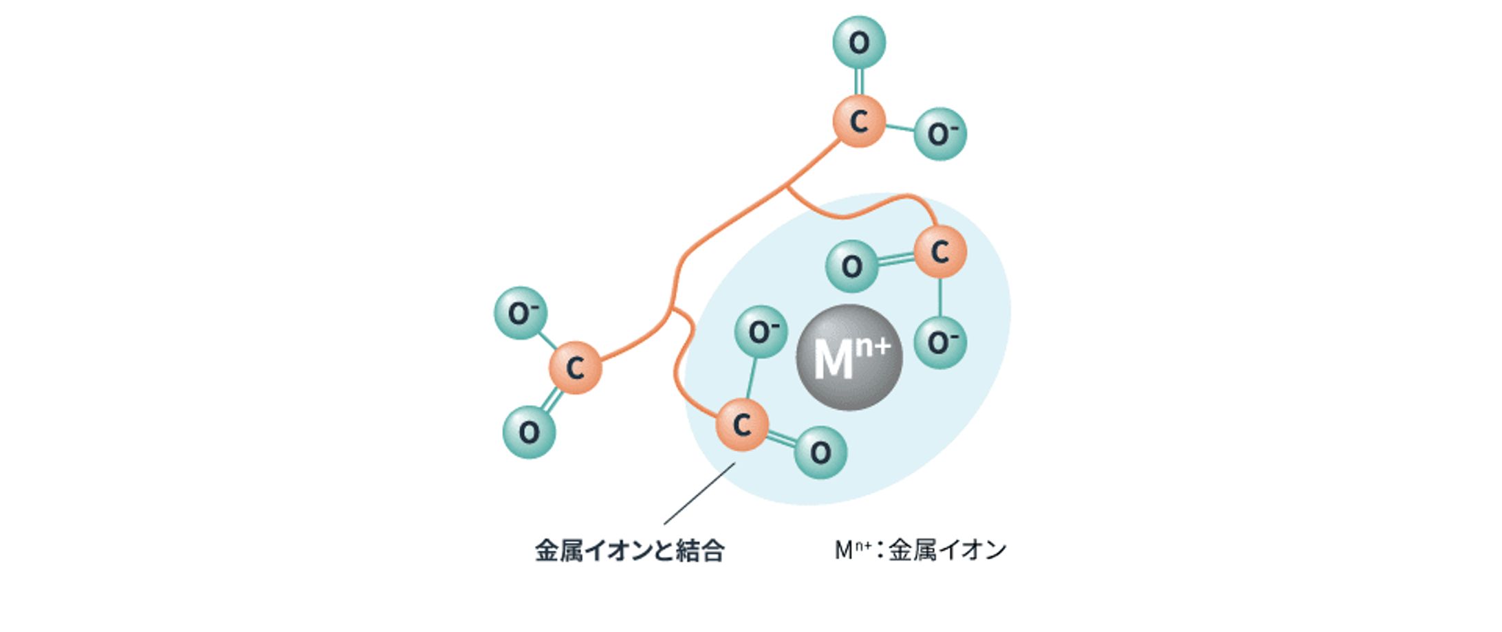 キレート剤の世界市場調査：規模、シェア、成長率（2026-2032年）-1