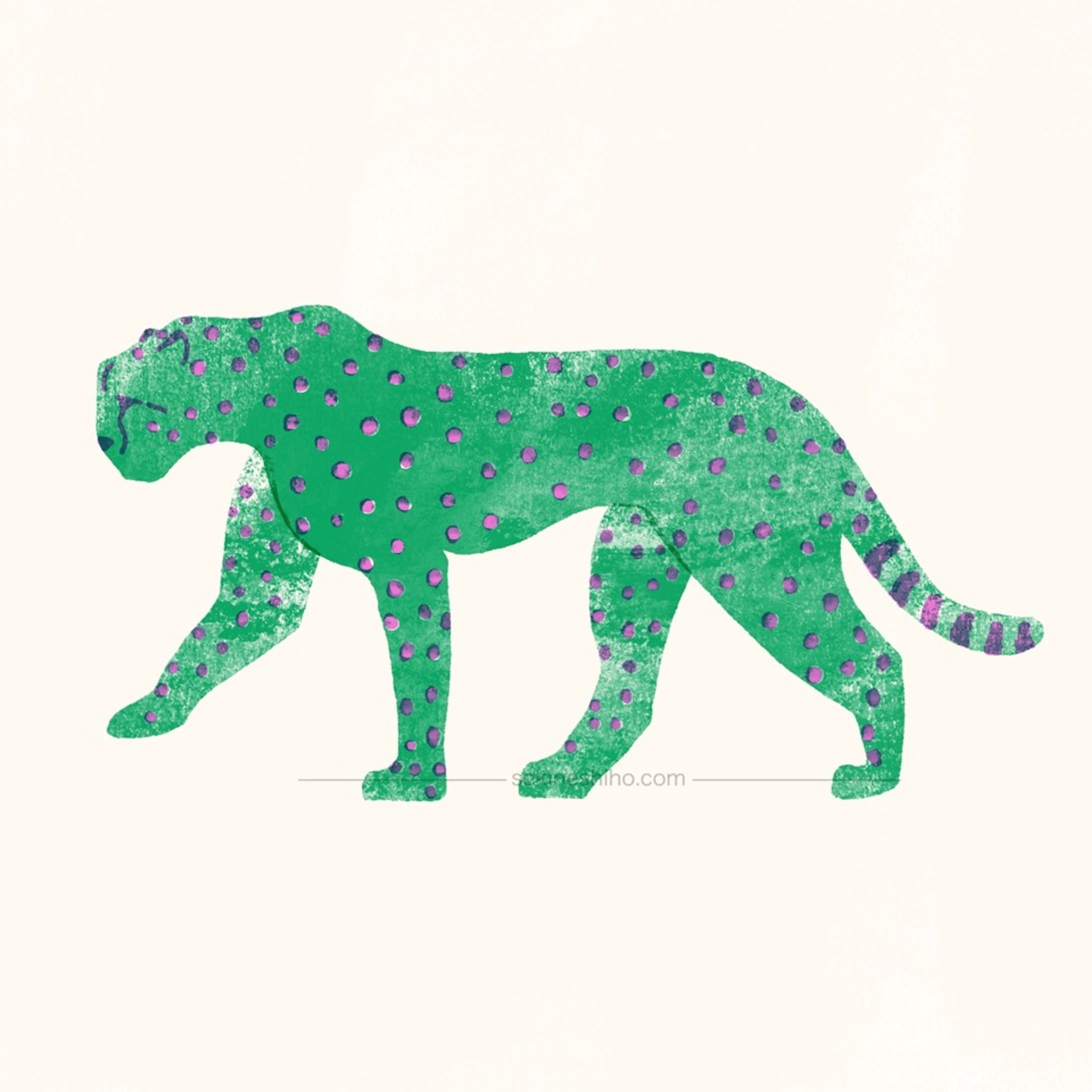 動物イラスト「チーター」-1