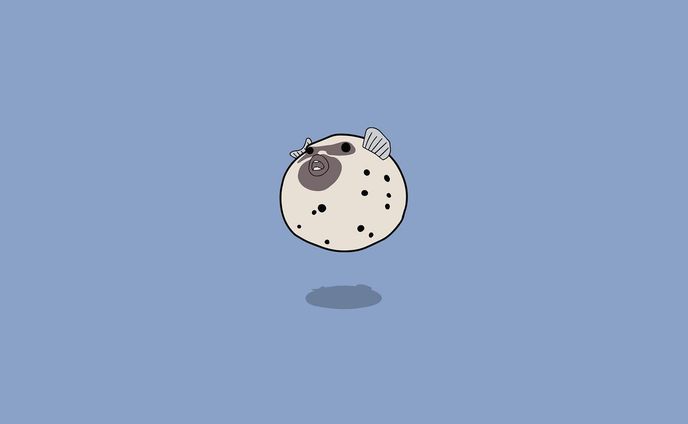 イラストレーター、デザイナー、海の生き物