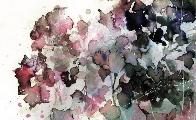 Bougainvillea-