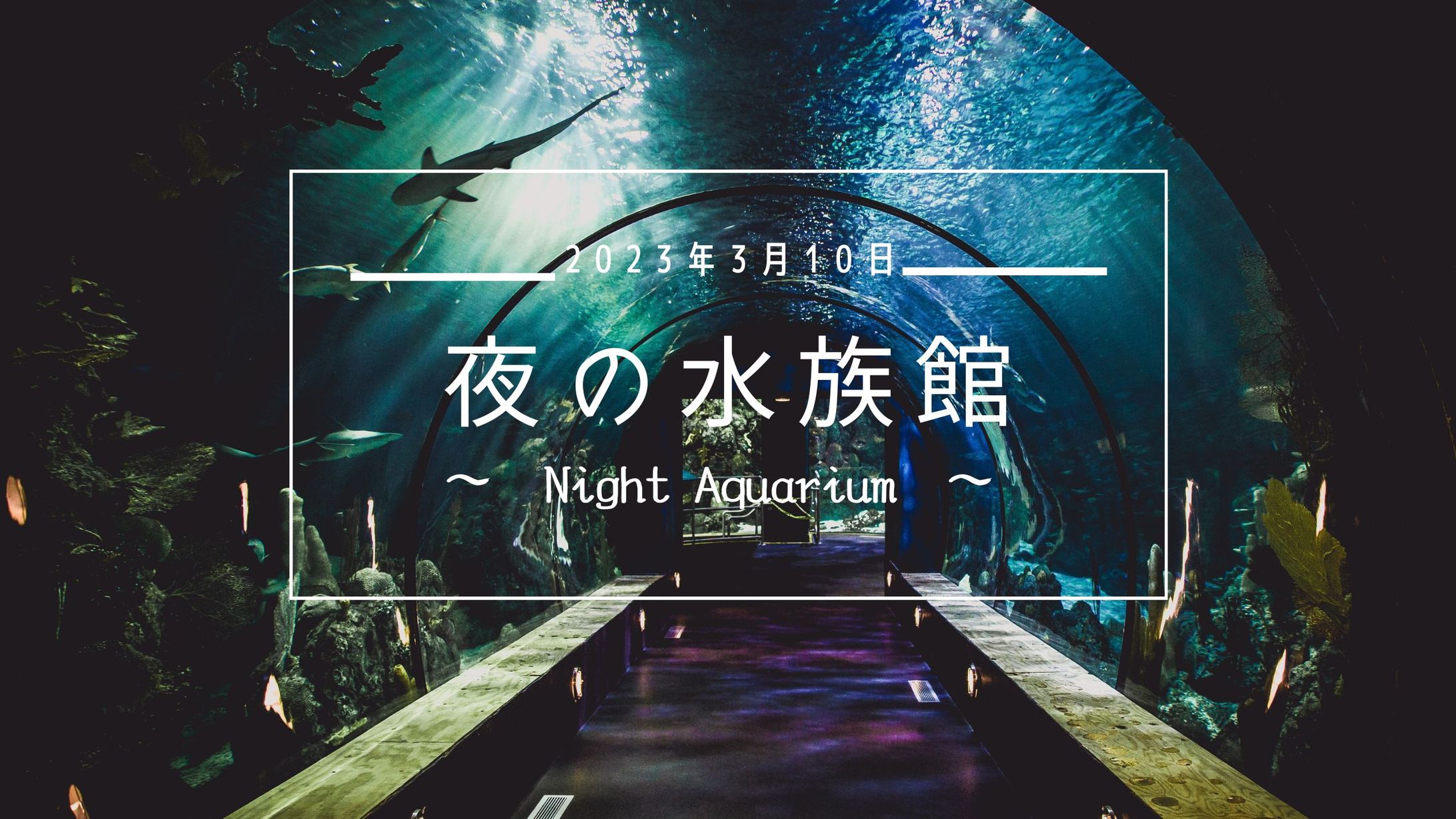 水族館Webサイトのサムネイル-1