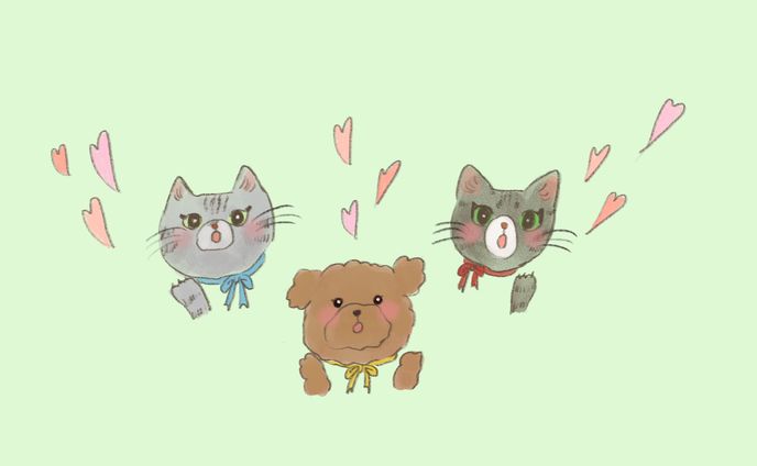 わんにゃんず