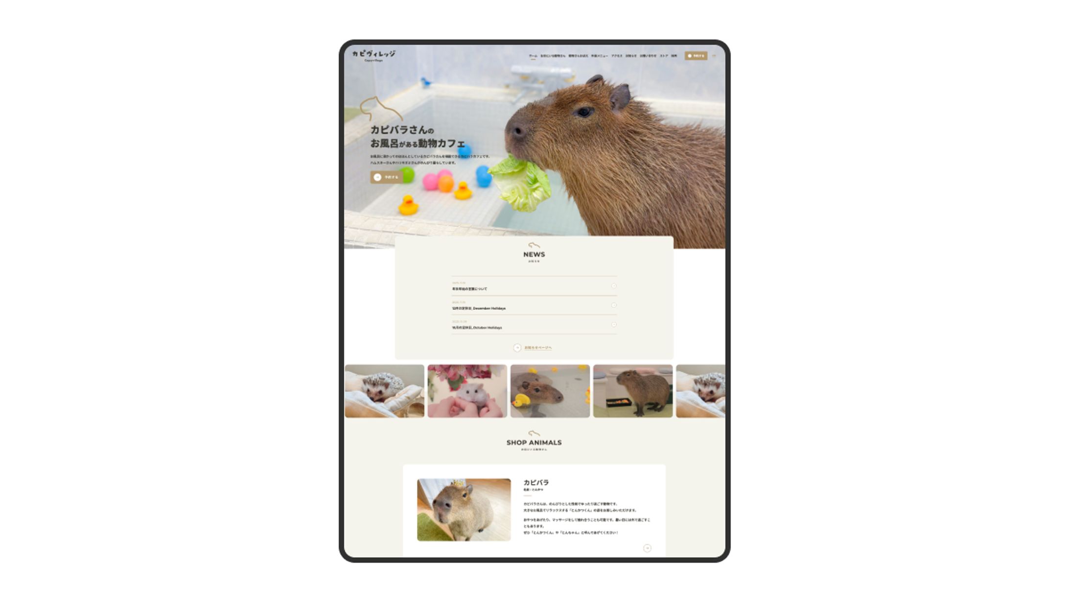 Webサイト制作 / 動物カフェ-1