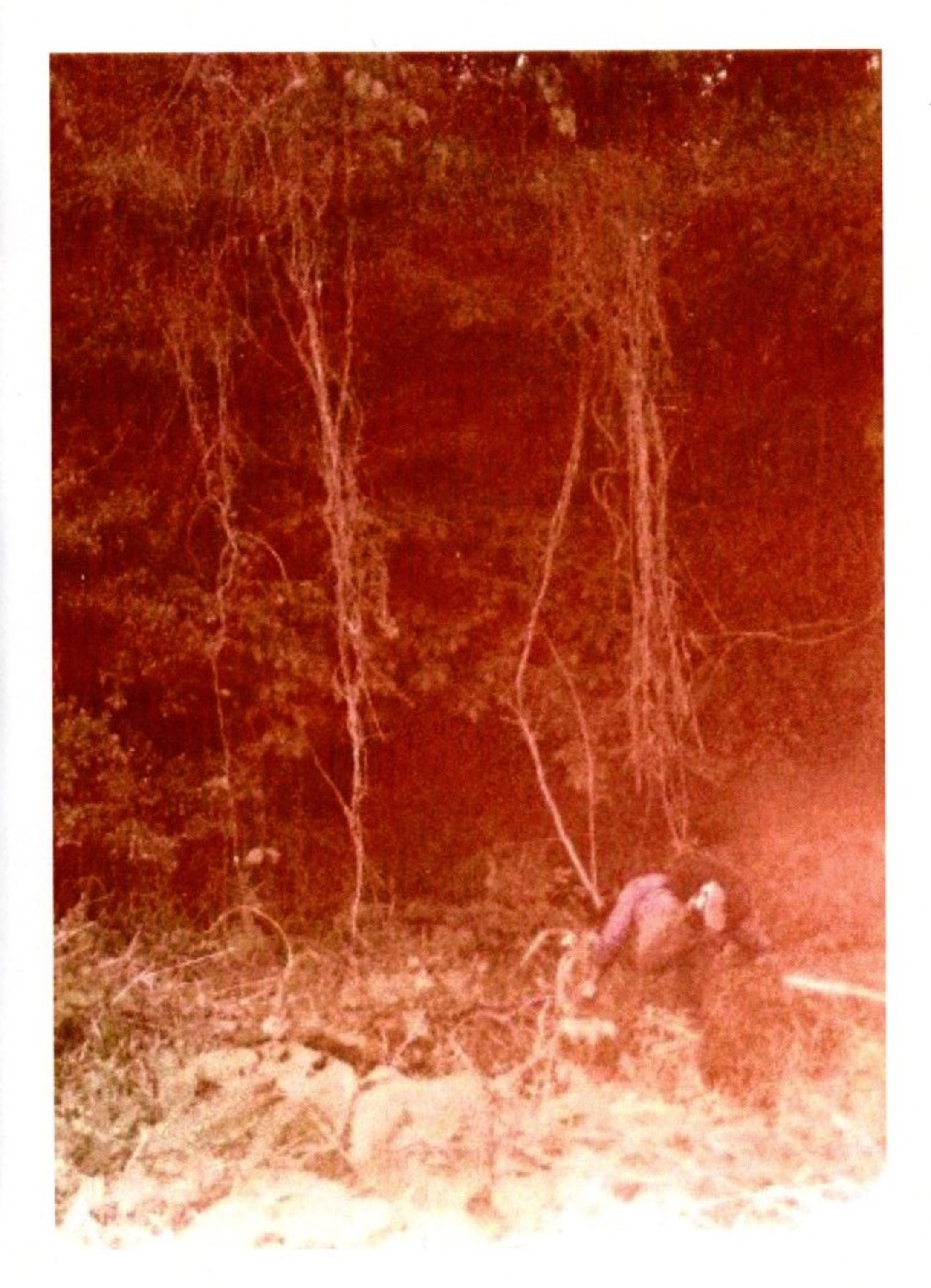 Past (Photograph)-1