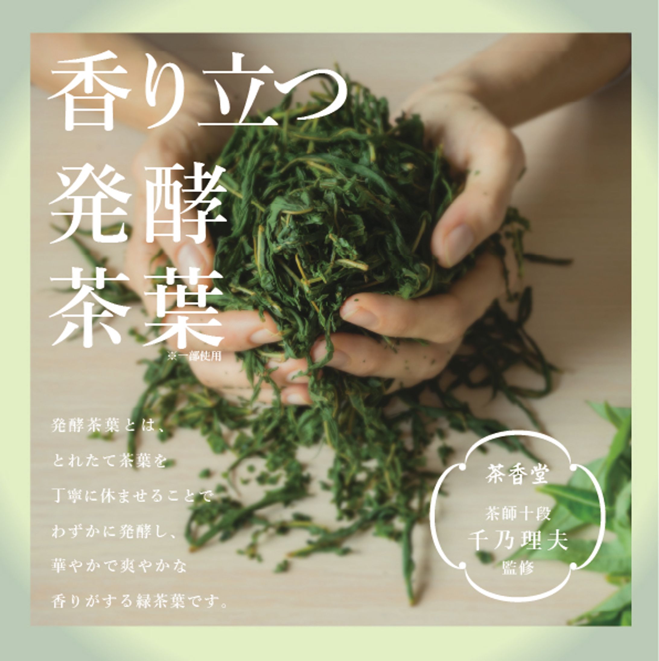 発酵茶葉バナー-1