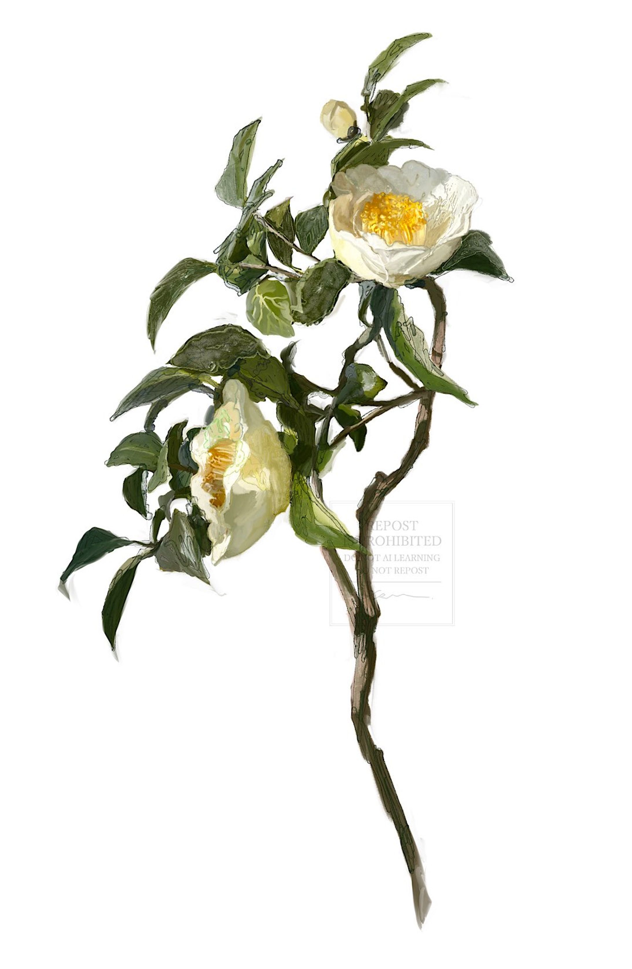 Flower-1