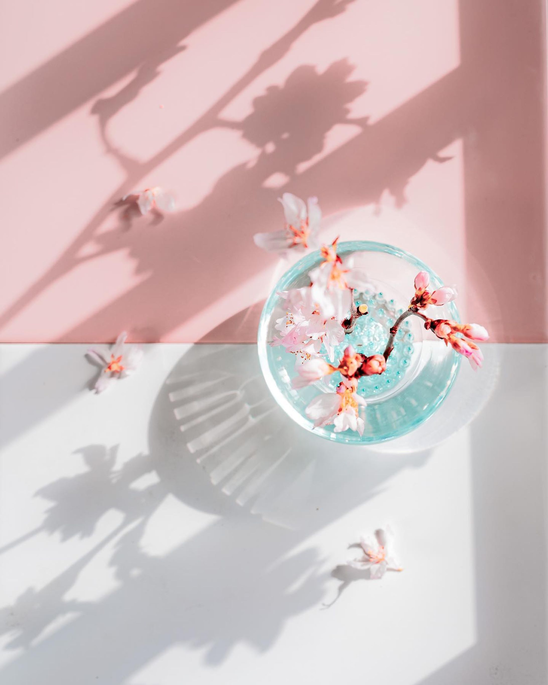 おうちの桜ももう終わりに𓂃

次は何のお花がいいかな❤︎

娘がいたずらしなくなってきたので、
またお花を飾れるようになれて嬉しい🥺

フラワーベースは
@koncent_shop 

+dミチクサ　
color 水

他のカラーも全部可愛いです💖

#KONCENT公式フラワーアンバサダー

#ミチクサフラワーカップ2022 
#花
#花のある暮らし
#桜-1