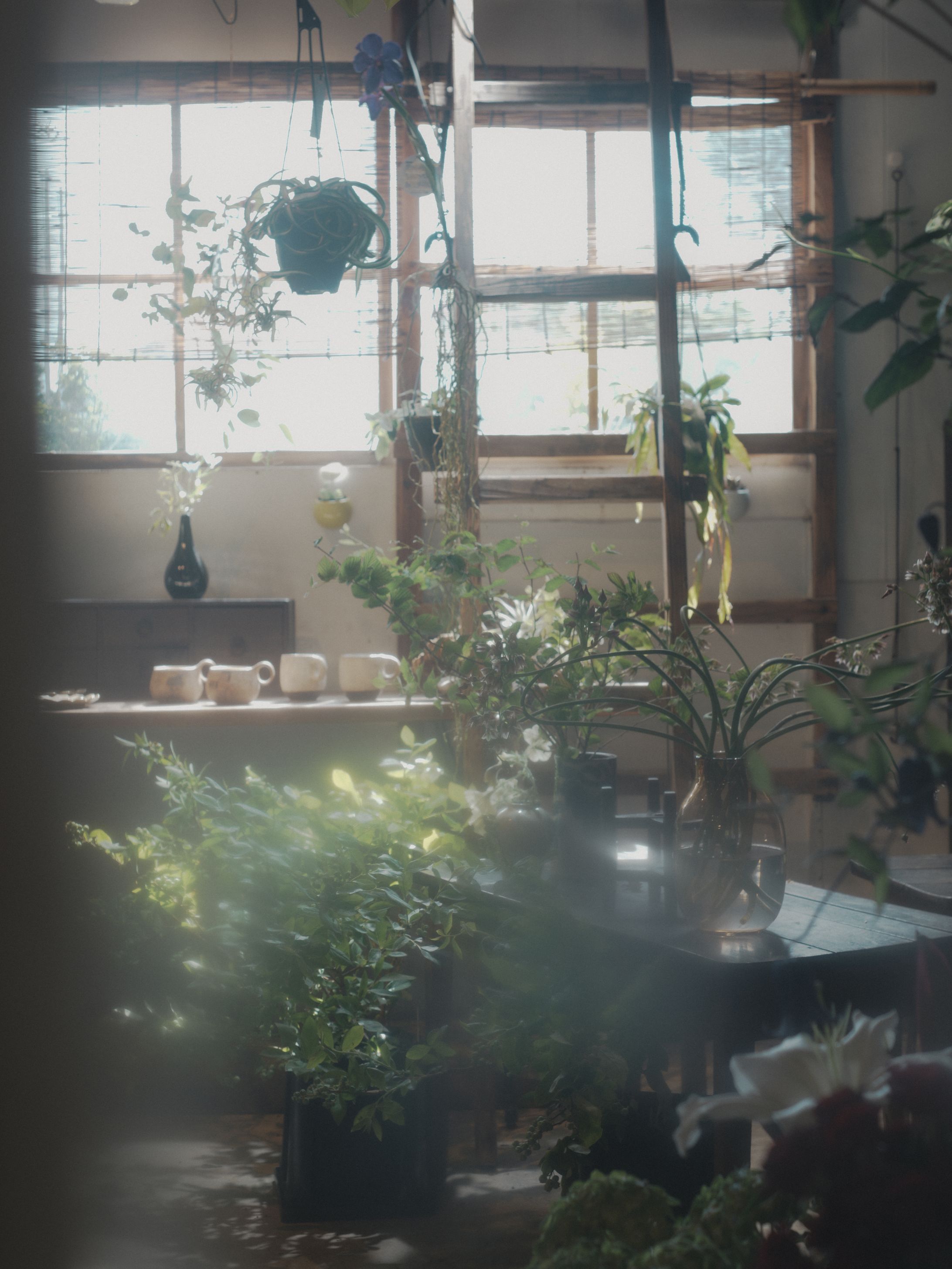 花筏-1