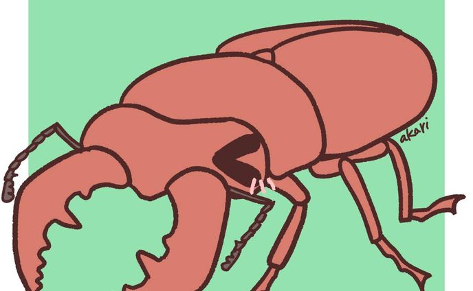 ノコギリクワガタくん
