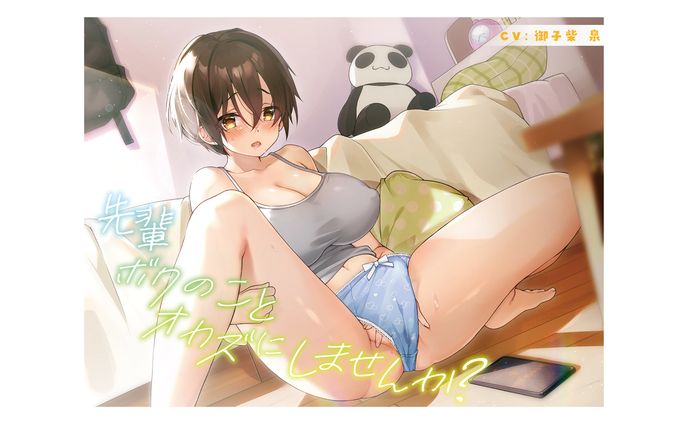 DL同人作品/音声作品