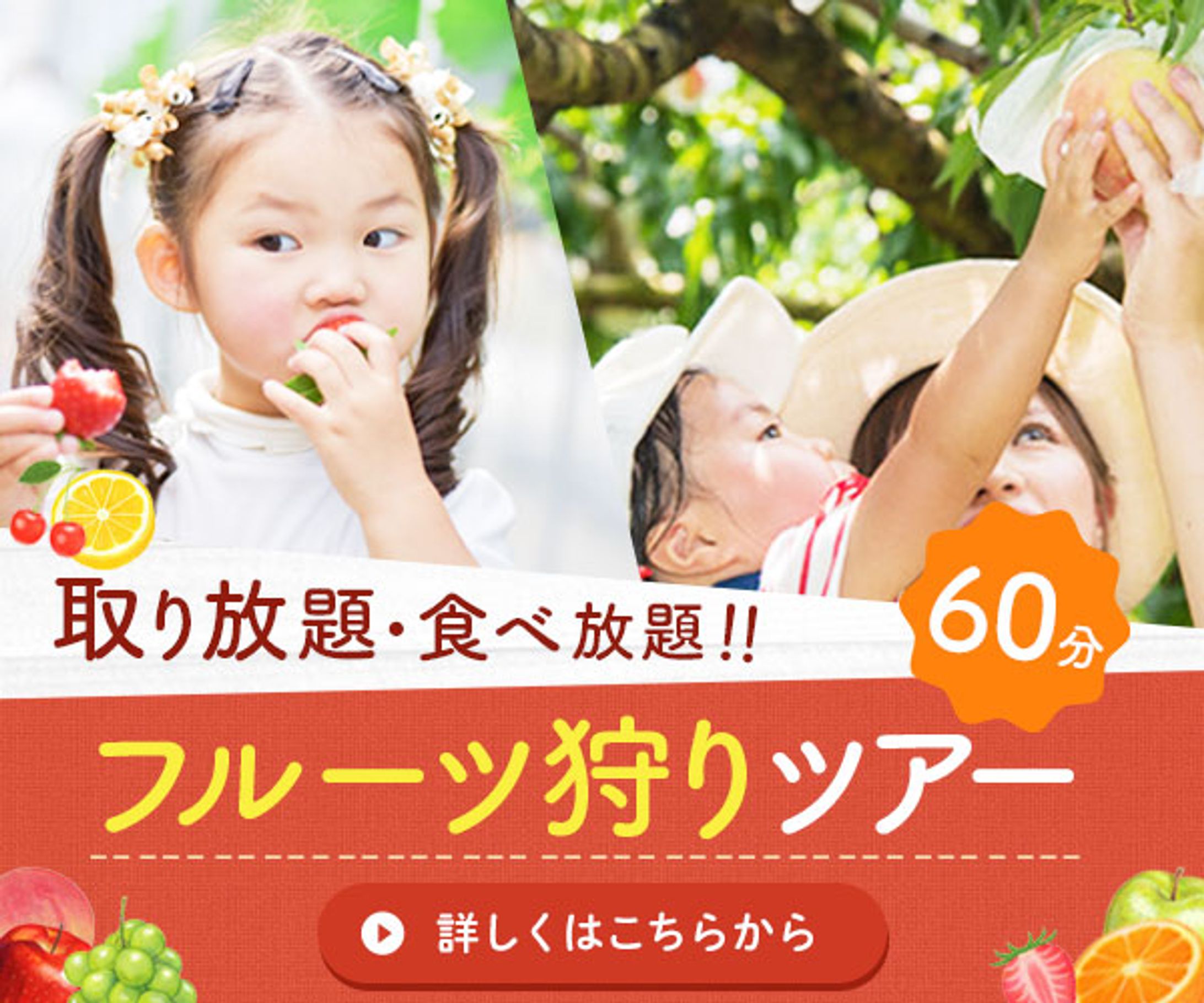 バナー：フルーツ狩りツアーバナー-1