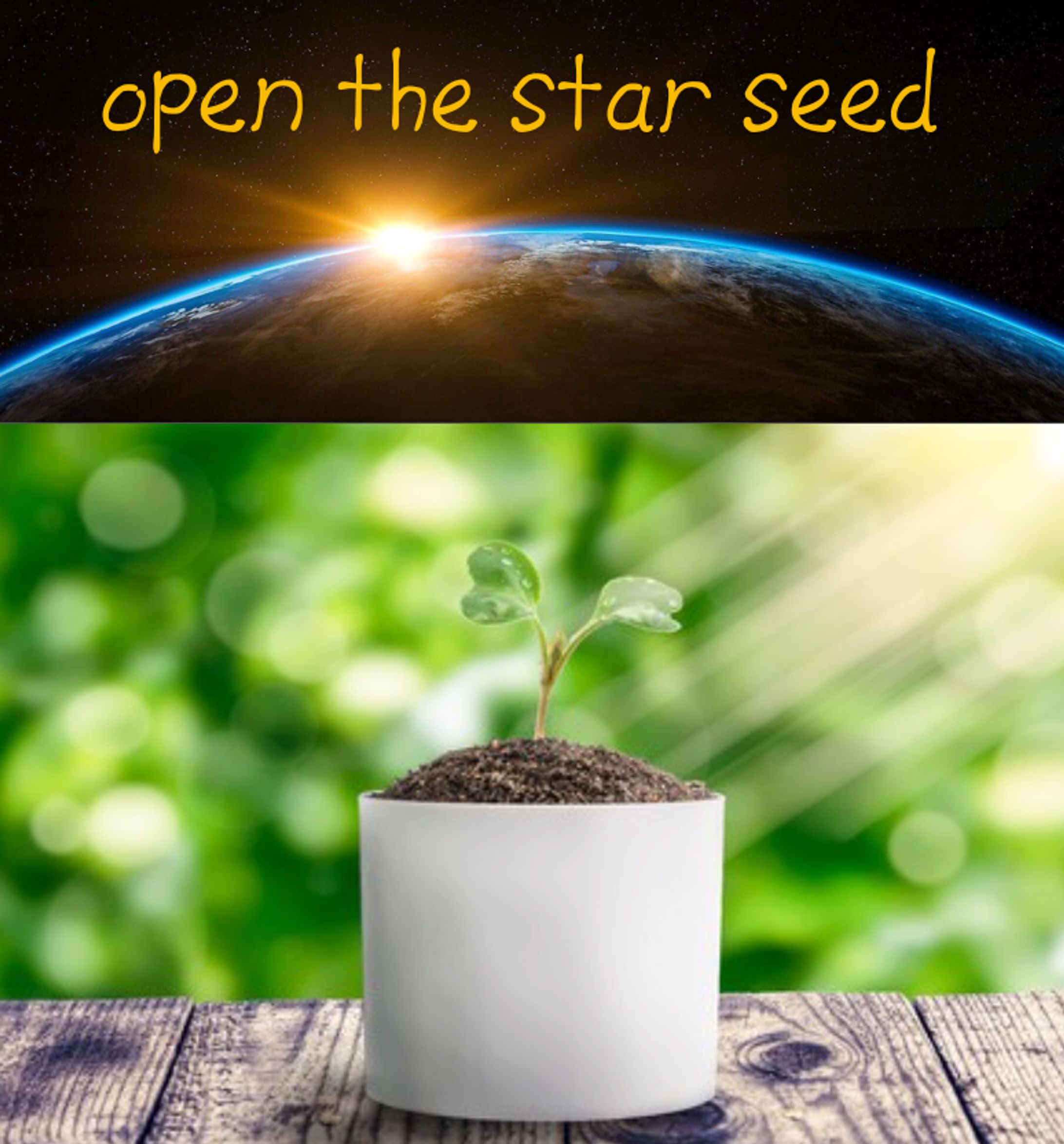 スクリーンショット 2019 03 05 16.42.41-1