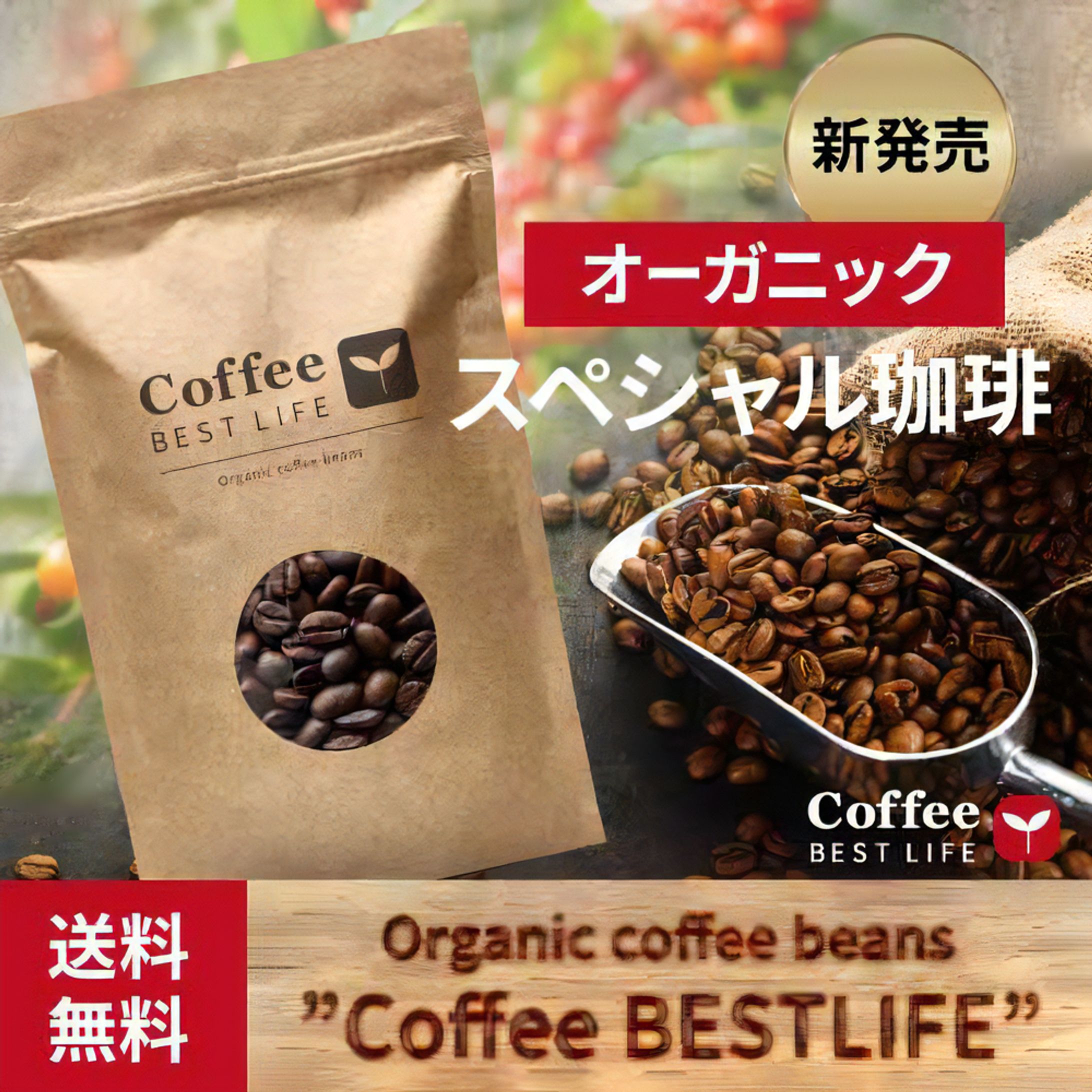コーヒー豆バナー-1