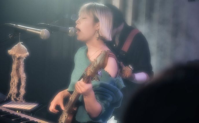 Shöka（2024.11.8）