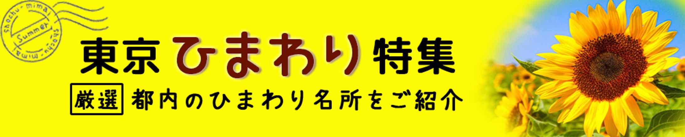 東京ひまわり特集-1
