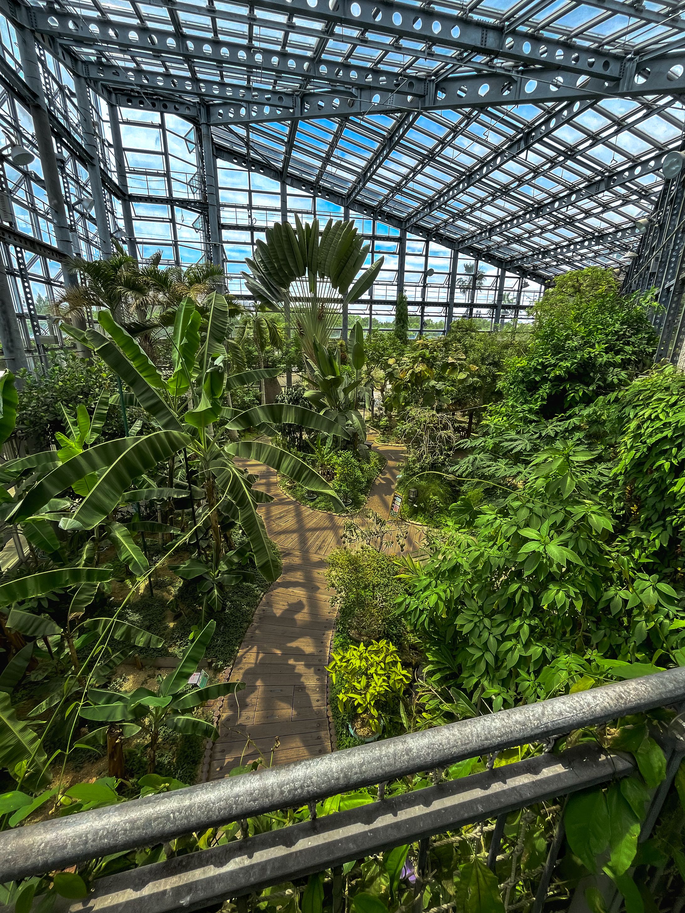 花博記念公園鶴見緑地＿植物園-1