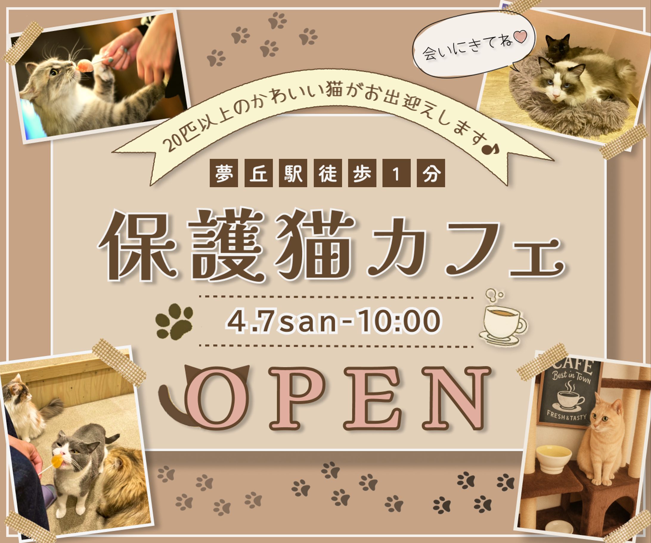 猫カフェ新オープンのバナー・チラシ-1