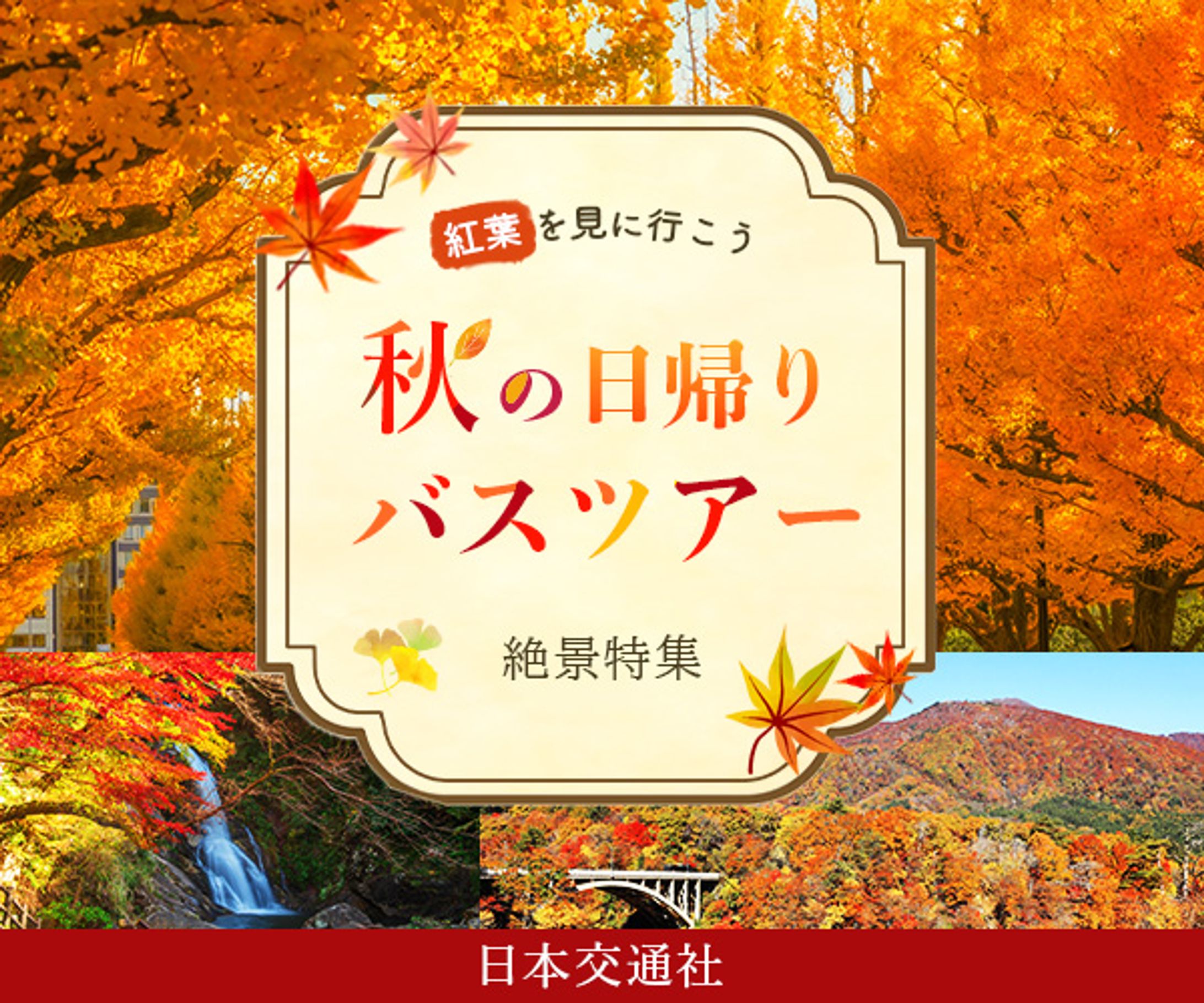 バナー：秋の日帰りバスツアー-1