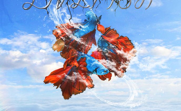 live、寄せ集め（mishmash）