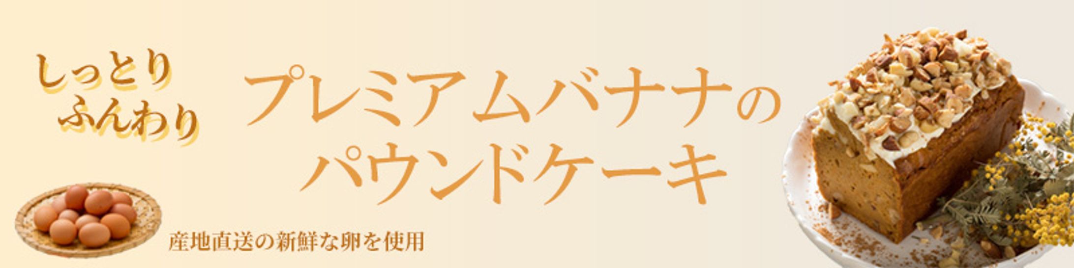 banner01-1