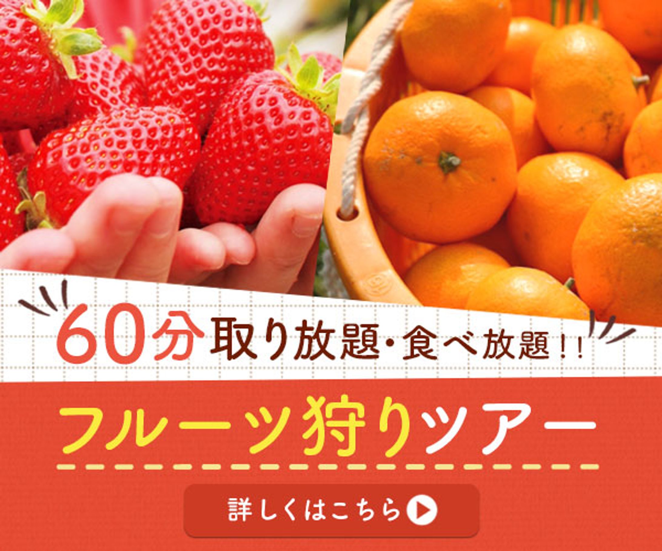バナー｜フルーツ狩り-1