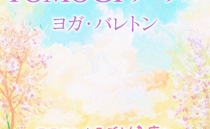 公開用画像、実績