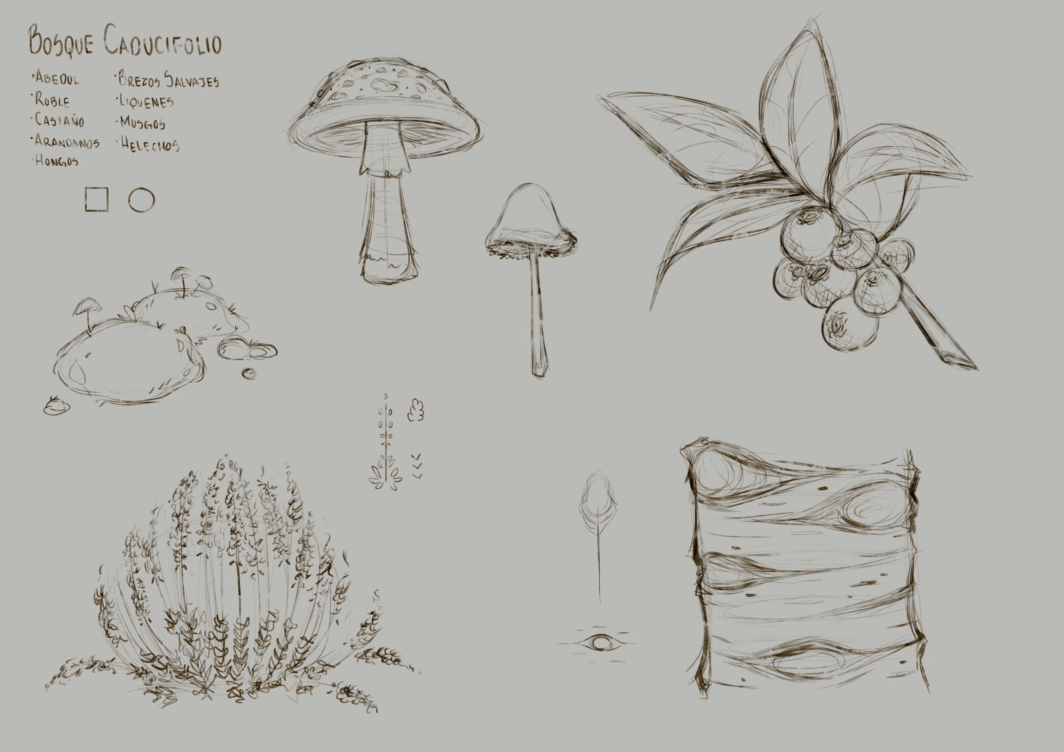 Sketch & Explorations-1