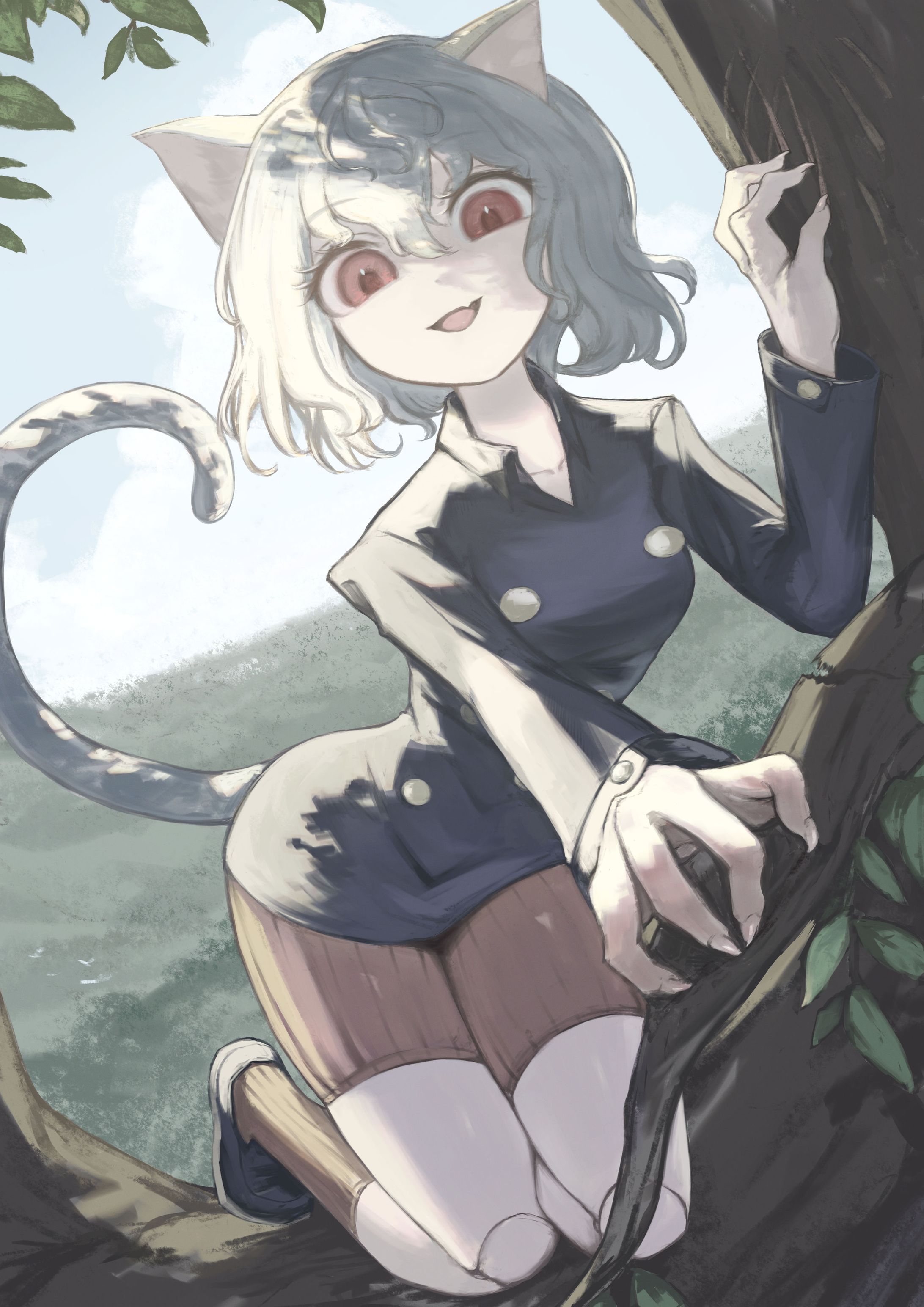 ネフェルピトー-1