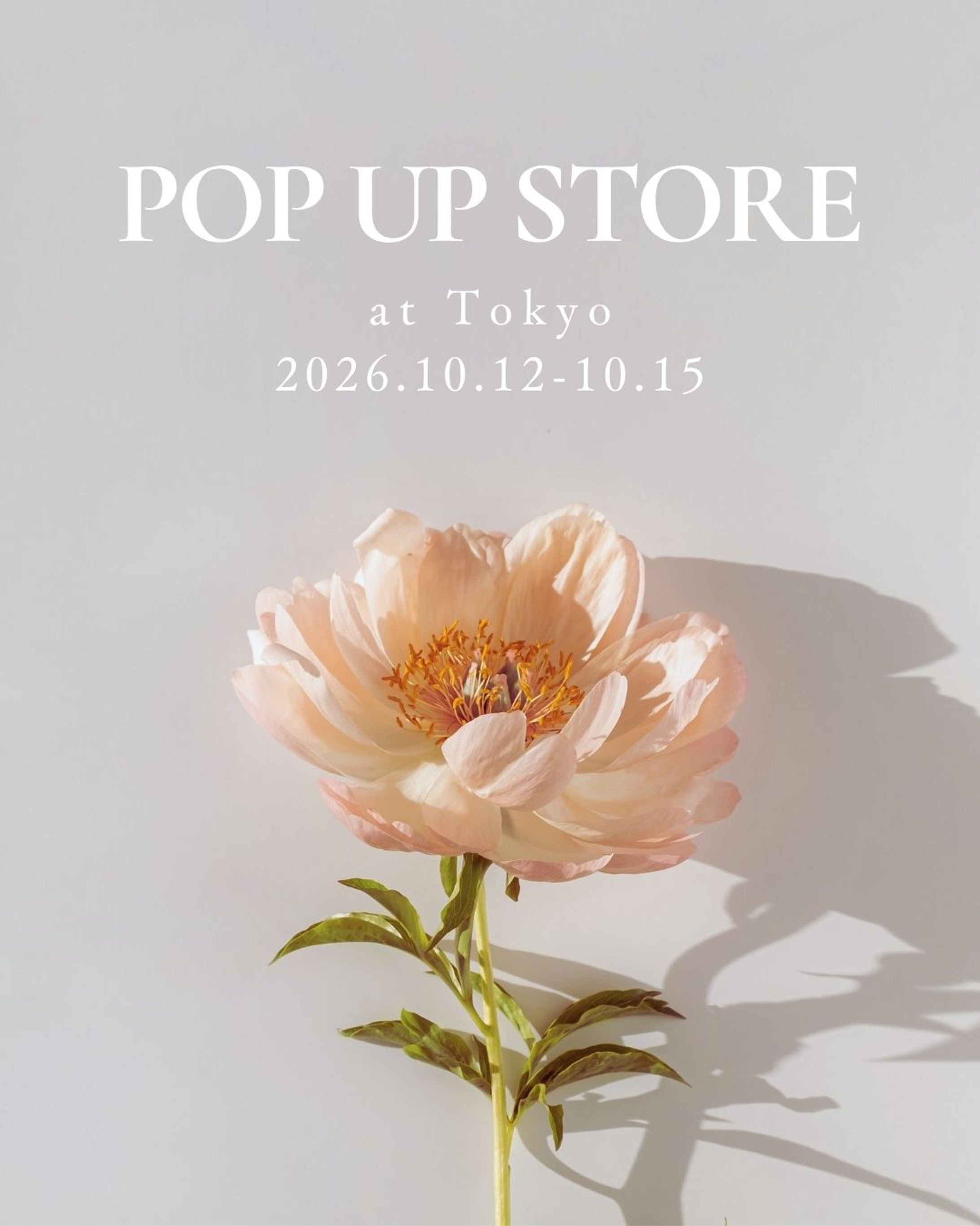 POPUP広告２-1
