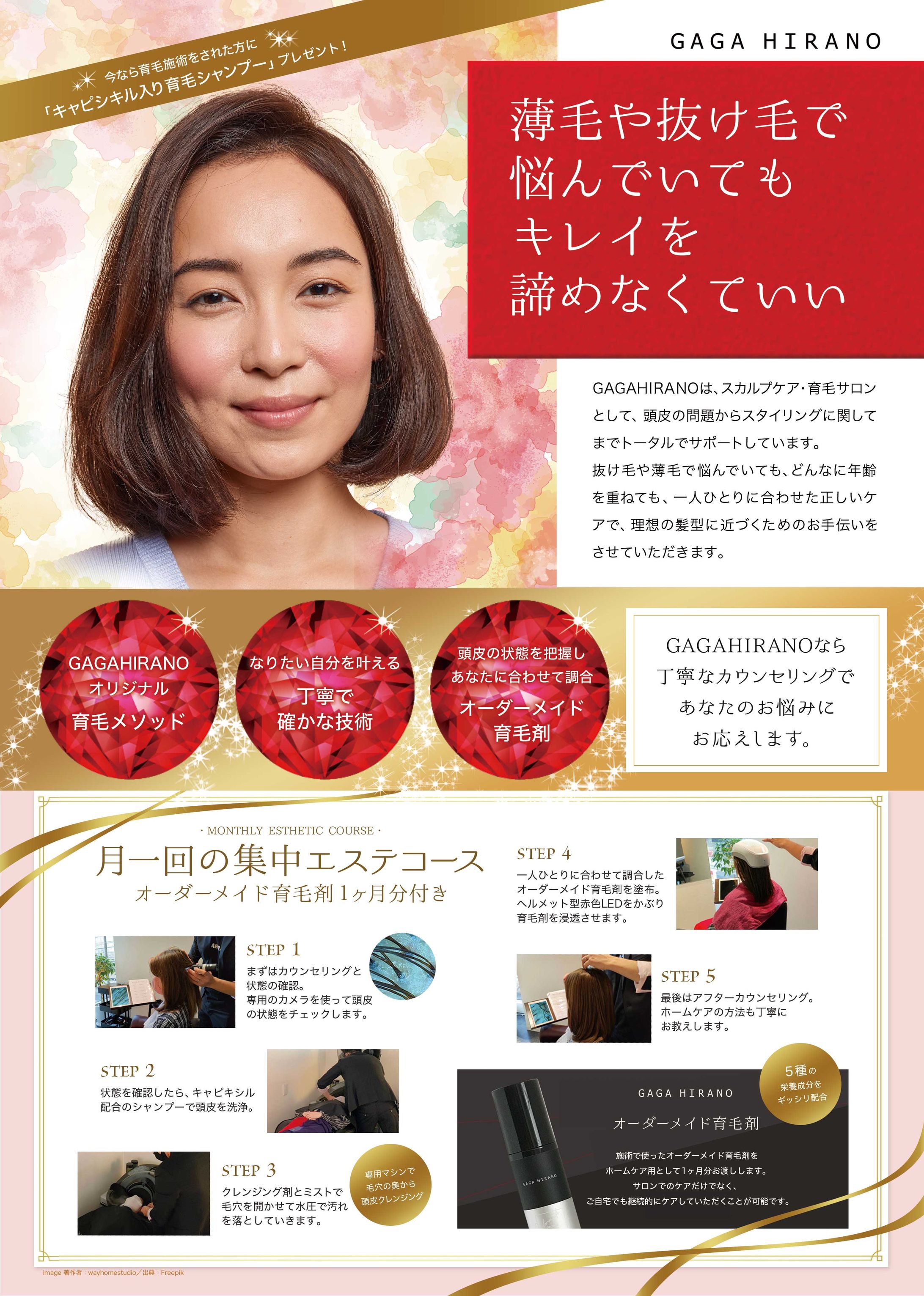 GAGAHIRANO様チラシ 2023年3月 表-1