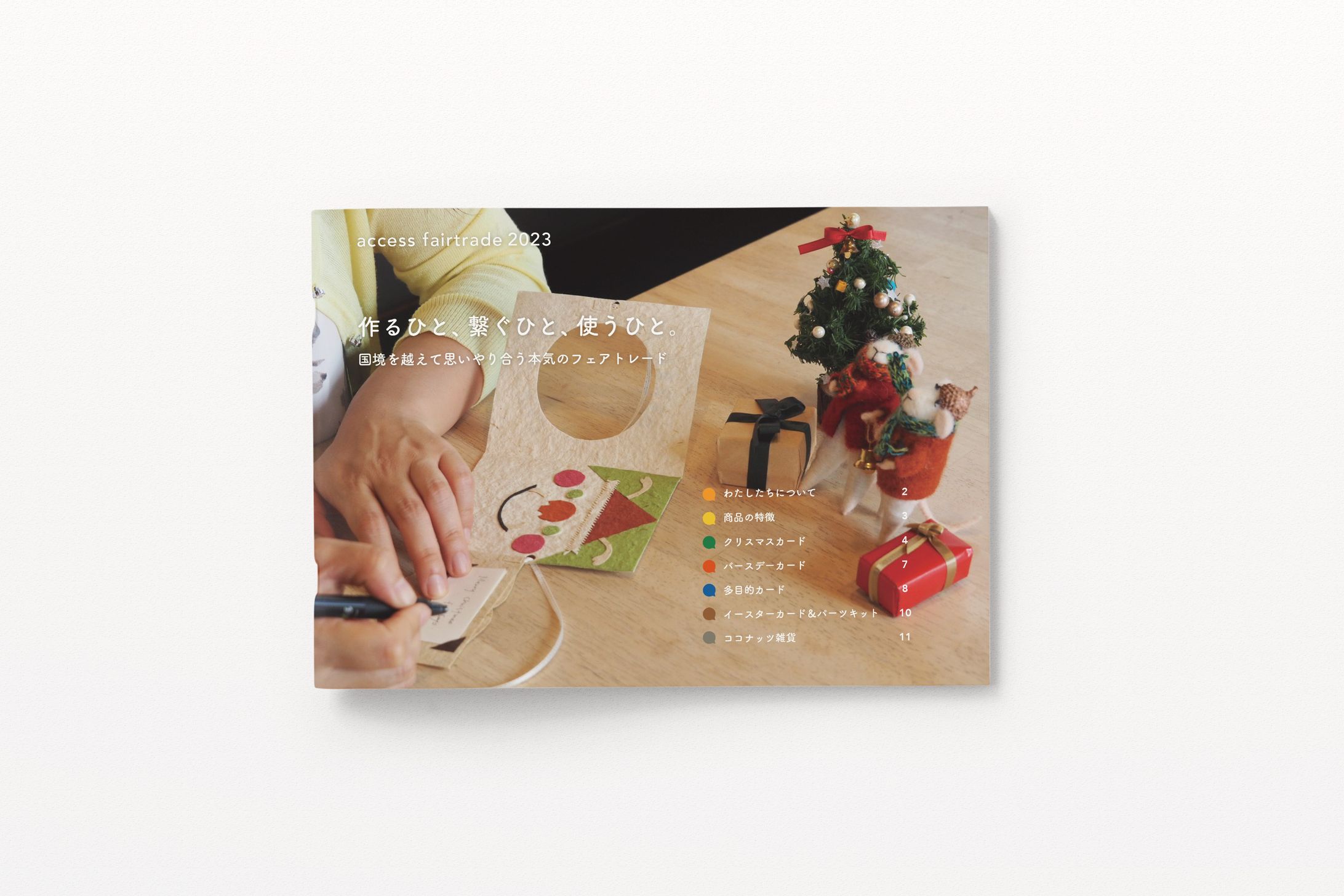 Access - Catalogue-1