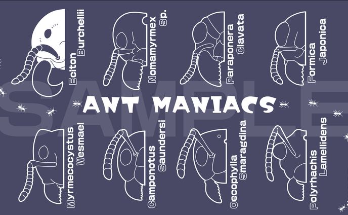 世界の蟻/TCGプレイマット