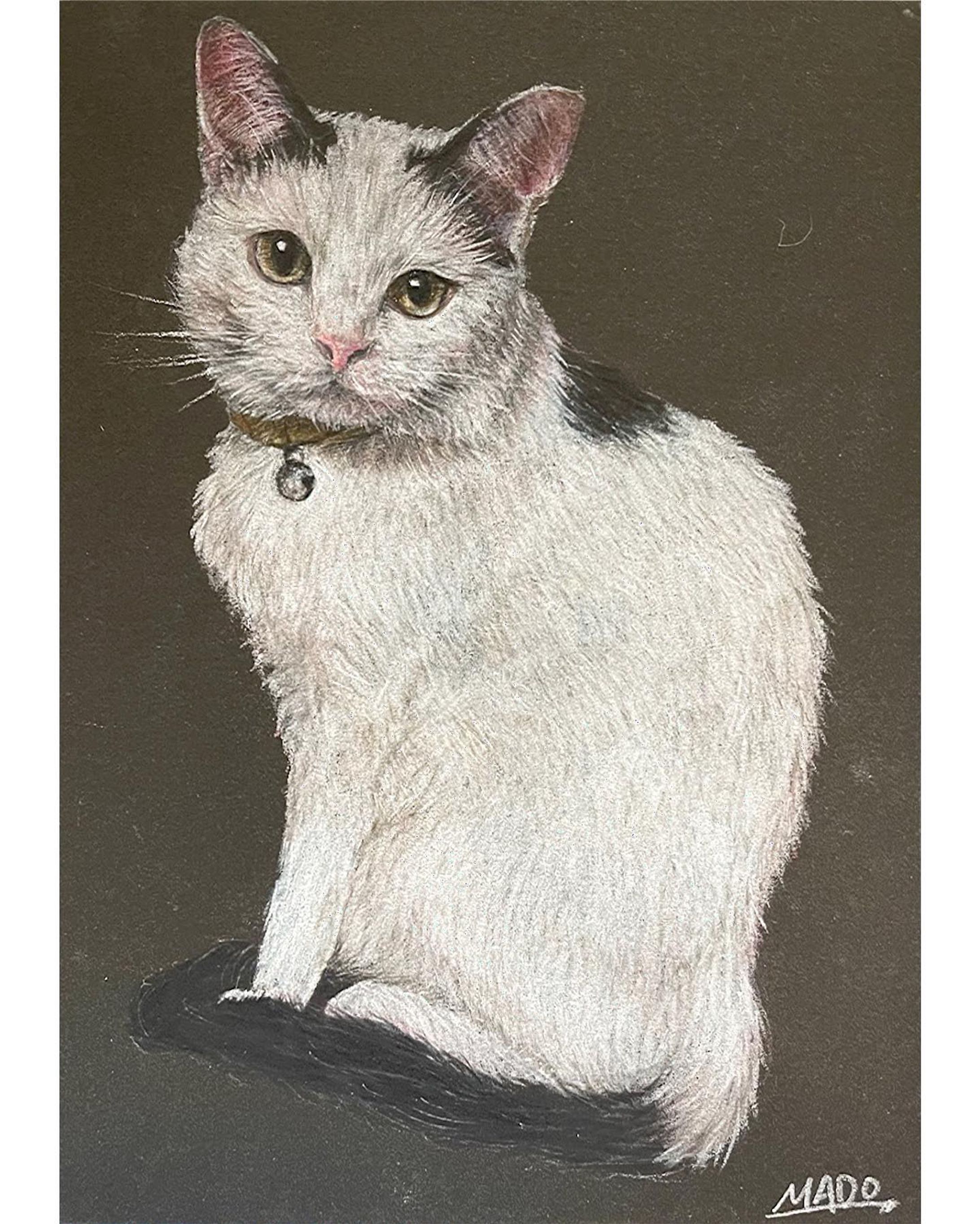 私の上司

b5

#野良猫  #しろくろねこ #しろねこ #絵描きさんと繋がりたい 
#animalillustration #芸術 #アート #animal #動物 #かわいい #色鉛筆 #colorpencil #picture #cute #animalartist #animaldrawing #realist #イラスト #絵 #illust #illustration #illustrator  #draw #drawing  #art #artwork #artist #coloredpencil  #works #色鉛筆画-1