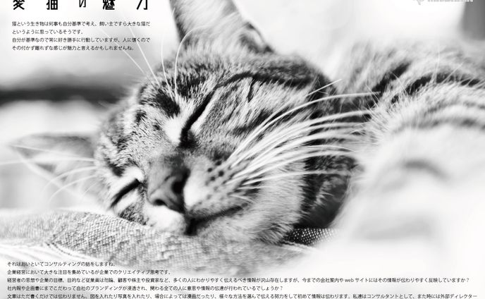 【私はこんな仕事がしたい】愛猫の魅力