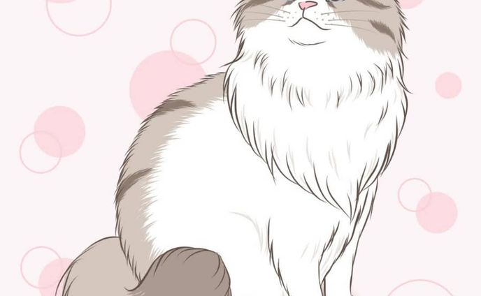 もっふもふラグドール🤗
顔埋めてｸﾝｸﾝしたいね🤣.
.
ねこ描くのたーのしーー！
この子気に入っちゃったから何かグッズ作ろうかなw
グッズ・猫のイラストのリクエストなどありましたらお気軽にどうぞ🎵.
.
プロフィールのURL→メニュー→URLリスト内のココナラにて、猫ちゃんの似顔絵作成承ります！.
.
#猫 #ねこ #ネコ #ラグドール #ふわもこ部 #cat #動物 #animal #イラスト #illustration #絵 #デザイン #design #アート #art #手描き #手描きイラスト #イラストレーター #illustrator 
#デザイナー #グラフィックデザイナー #designer #イラストレーターと繋がりたい #イラストレーターさんと繋がりたい #デザイナーさんと繋がりたい