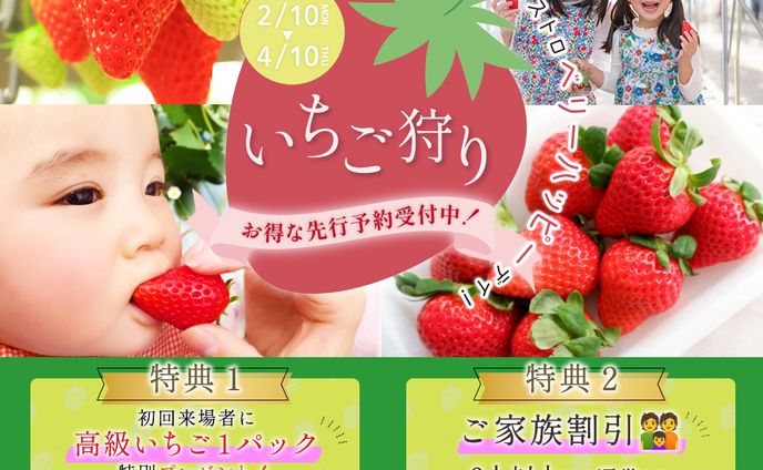 【架空】いちご狩り【バナー】